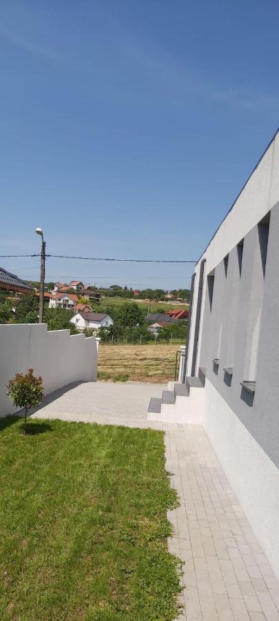 Vila Andrea Oradea Exterior photo