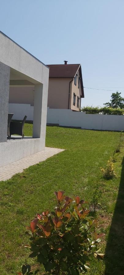 Vila Andrea Oradea Exterior photo